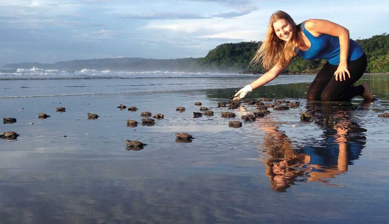 Travel Agreement & Trip design